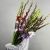 Букет из 25 гладиолусов микс в Коломне Букет из 25 гладиолусов микс в Коломне