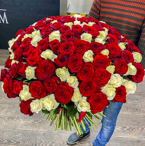 Букет 151 роза красный и белый микс (60 см) в Коломне