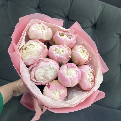 Букет из 9 нежных пионов Гардения в Коломне