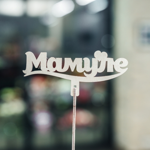 Топпер Мамуле в Коломне