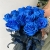 15 синих LUX роз Эквадор (70 см) в Коломне 15 синих LUX роз Эквадор (70 см) в Коломне
