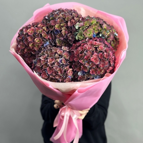 Букет из 5 космических Голландских гортензий в Коломне