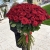 Букет из 101 красной розы (90 см) в Коломне Букет из 101 красной розы (90 см) в Коломне