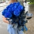 15 синих LUX роз Эквадор (70 см) в Коломне 15 синих LUX роз Эквадор (70 см) в Коломне