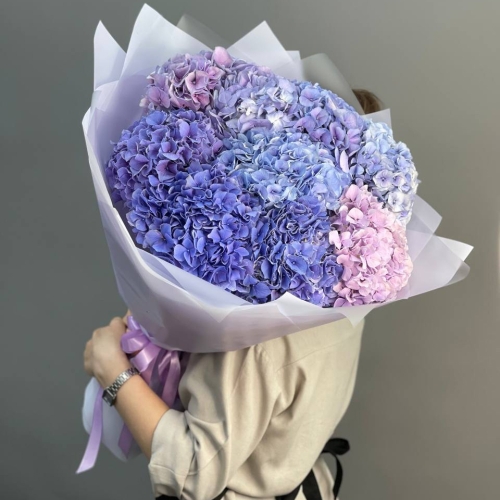 Букет из 9 Голландских гортензий в Коломне