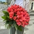 Букет 51 роза коралл (60 см) в Коломне Букет 51 роза коралл (60 см) в Коломне