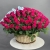 Композиция в корзине из 151 малиновой розы в Коломне Композиция в корзине из 151 малиновой розы в Коломне