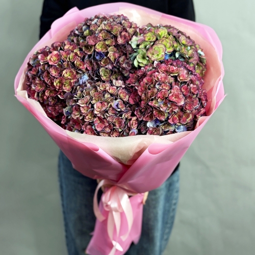 Букет из 5 космических Голландских гортензий в Коломне