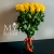 Букет 25 желтых роз эквадор (60 см) в Коломне Букет 25 желтых роз эквадор (60 см) в Коломне