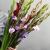 Букет из 25 гладиолусов микс в Коломне Букет из 25 гладиолусов микс в Коломне