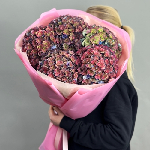 Букет из 5 космических Голландских гортензий в Коломне